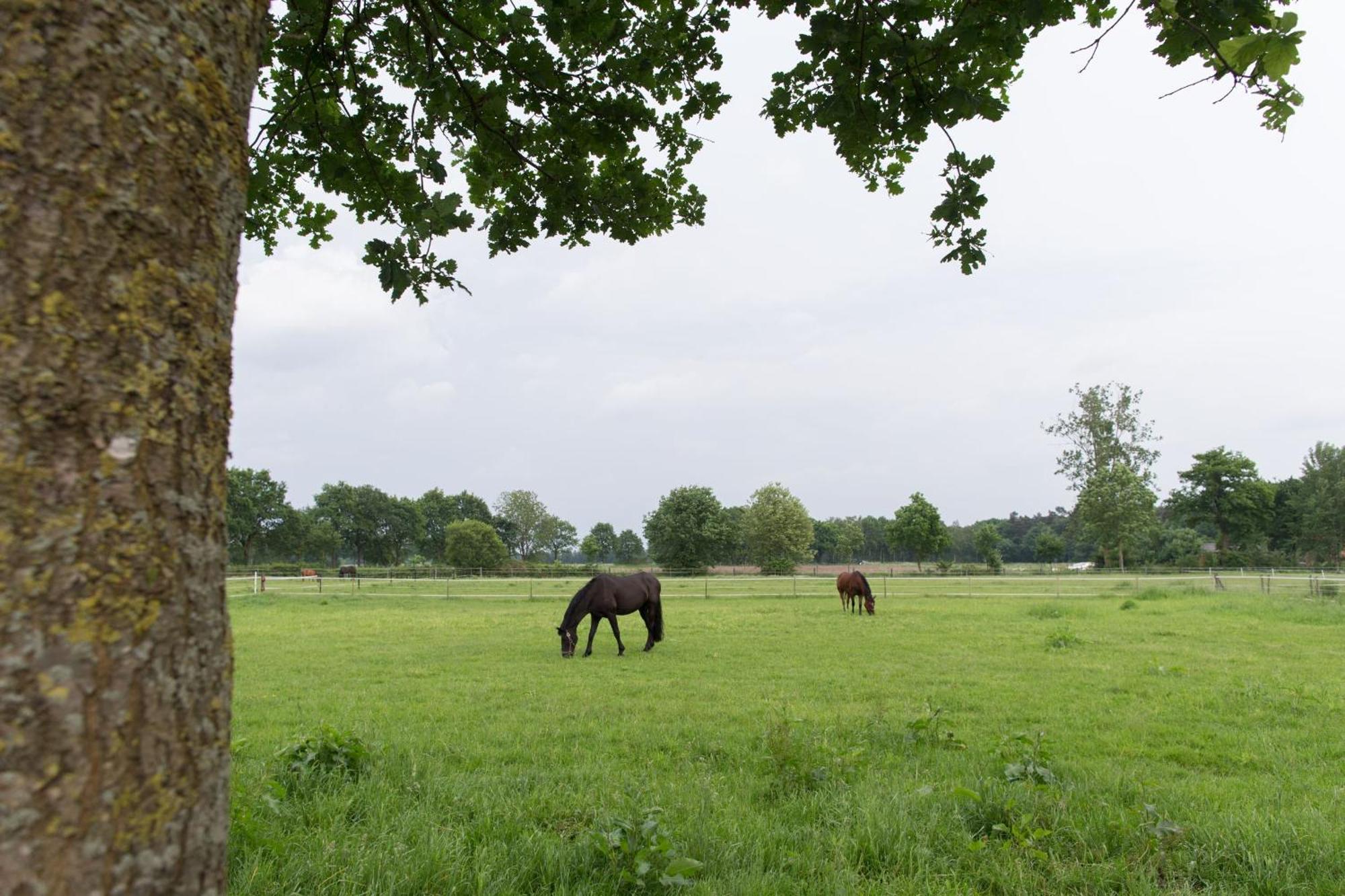 Landhuus Laurenz Gronau  Exterior foto